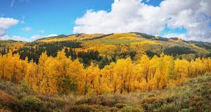 Van wikipedia, de gratis encyclopedie. Kenosha Pass Hiking Trails Day Hikes Near Denver