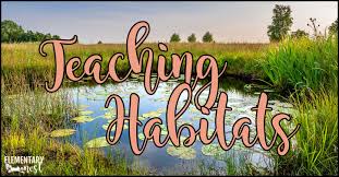 Learners discuss the characteristics of habitats. How To Teach Habitats With A Freebie Elementary Nest