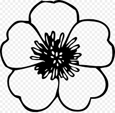 Download free flower black and white png images. Book Black And White