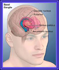 Behavioral Intervention Can Reduce Tics In Adults With Tourette Syndrome Scientific Earth Conscientious