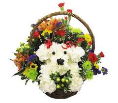 Learn more about florists in wichita on the knot. Puppy Love Bouquet Unique Flower Arrangements Puppy Flowers Flower Arrangements