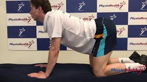 Start the movement by bringing your head and. Cat Camel Exercise Physiohealth