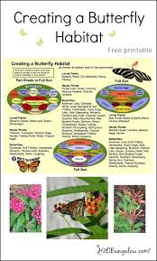 Budget Diy Landscaping In 2020 Butterfly Garden Design Butterfly Habitat Budget Landscaping