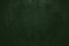 .dark olive green, dark sea green, dark slate gray, ecosystem, explore, forest, glade green, gray, green, hippie green, killarney, mineral green growth forest, olivine, opal, purple, slate gray, spruce fir forest, stromboli, temperate coniferous forest, tree, vegetation, viridian green. 73 Forest Green Background On Wallpapersafari