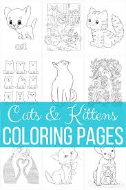 If you are looking for some free fun, just print, and color! 61 Cat Coloring Pages For Kids Adults Free Printables