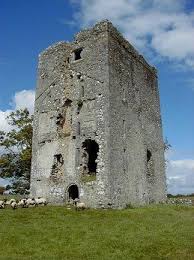 20% coupon applied at checkout. Derrymacloughna Castle Derrymacloughna Castle Has A Doorway In The South West Wall It Is A Round Headed Doorway Wit Castles In Ireland Irish Castles Castle