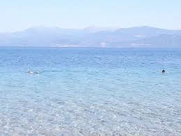 Λυπούμαστε, δεν υπάρχουν περιηγήσεις ή δραστηριότητες διαθέσιμες για κράτηση online για την ημερομηνία που επιλέξατε. Gryllis Fish Tavern Lampiri Restaurant Reviews Photos Phone Number Tripadvisor