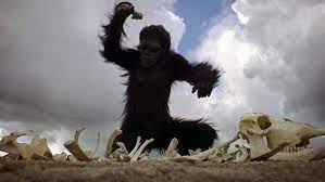 Download Free 2001 Space Odyssey Wallpaper 2001 A Space Odyssey Space Odyssey Stanley Kubrick