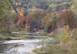 We did not find results for: Forest Service Manistee River Trail Woodpecker Flats