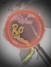 In order to contain and combat it, we are partnering with the united nations and other international. Lessons Learned From Most Recent Ebola Outbreak In West Africa To Be Subject Of Panel Discussion April 3 Edward J Bloustein School Of Planning And Public Policy