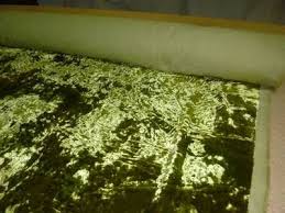 Cozy velvet moss green | fabric. Green Velvet Fabric Rich Green Crushed Velvet Upholstery Fabric Today Interiors Velvet Upholstery Fabric Upholstery Fabric Green Velvet Fabric