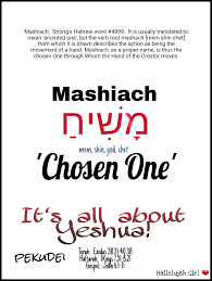 Anoint It All Pekudei Learn Hebrew Hebrew Vocabulary Hebrew Words