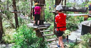 We did not find results for: Tree Surfing At The Mornington Peninsula S Enchanted Adventure Garden Arthurs Seat Victoria The Bushwalking Blog