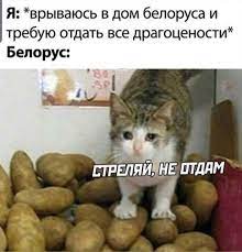 Я: ^врываюсь в дом белоруса и требую отдать все драгоцености* Белорус: /  грустный кот :: белорус :: беларусы :: картошка :: котє / смешные картинки  и другие приколы: комиксы, гиф анимация, видео, лучший интеллектуальный  юмор.