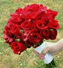 صور ورد و صور زهور من أجمل و أندر الورود من جميع أنحاء العالم مع خلفيات hd بفبوف flowers hand tied bridal bouquet beautiful flowers