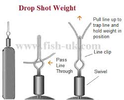 Tackle Drop Shotting For Perch And Drop Shot Fishing Set Up