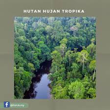 Tidak kalah menariknya dengan di indonesia serta bisa dinikmati sebagai tujuan wisata anda. Forus My Hutan Hujan Tropika Adalah Beberapa Kawasan Facebook