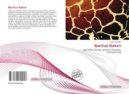 The blue spotted hill trout barilius bakeri day 1865, commonly called malabar baril (also known as royal danio), is an endemic indigenous ornamental fish of western ghats, kerala, india3. Barilius Bakeri 978 613 6 62125 8 6136621258 9786136621258