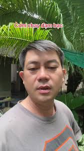 Món Chay: Canh Chua và Tàu Hũ Chiên Ngon Miệng