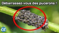 Epingle Sur Diy