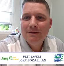 Boston Pest Control Reviews