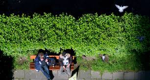 Schallschutz im außenbereich stetiger straßenlärm, nachbarn die gerne feiern, laute rasenmäher oder der kinderspielplatz nebenan. Praxisleitfaden Sichtschutz Mit Schallschutz Erschienen Baden Wurttemberg De
