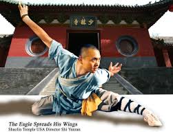 The shaolin temple full movie 1982 jet li mp3. Shaolin Temple Usa San Francisco Fremont Ca Herndon Va Shaolin Kung Fu Martial Arts Shaolin Kung Fu