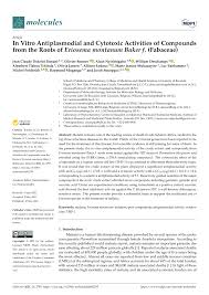 Image result for Eriosema montanum