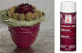 Maroon Dm Color