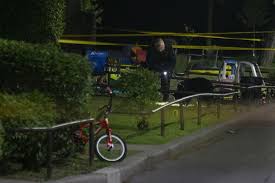 Mildred mcintosh, 67robert mcintosh, 70carmen sommer mcintosh, age ~40. Izt7aru5bchojm