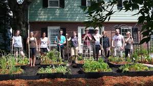 Showcase Your Front Lawn Veggie Garden In Edible Estates Front Yard Garden Sustainable Garden Garden