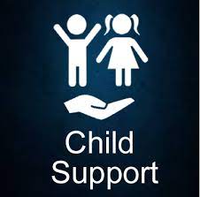 Child Support Modifications | Appealing Child Support - Collection Title