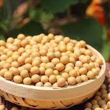 O brasil é o segundo maior produtor mundial de soja, atrás apenas dos eua. Glycine Soja Seed Buy Soja Seed Glycine Soja Seed Glycine Soja Seed Product On Alibaba Com