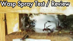 No Pest Wasp Hornet Killer Spray Quick Test Review Youtube