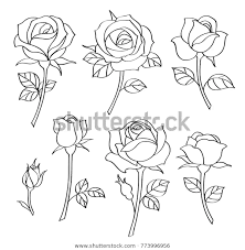 Vector Set Simple Roses Vintage Flowers Stock Vector Royalty Free 773996956 Rose Drawing Simple Roses Drawing Flower Drawing