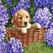 Us Seller 30x30cm Labrador Puppy Basket Purple Flowers Diamond Painting Kit Round Drills Full Drills Fast S H In 2020 Dog Paintings Diamond Painting Labrador Puppy