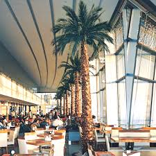 Maybe you would like to learn more about one of these? Preserved Plants In Dubai Preserved Indoor Plants For Sale