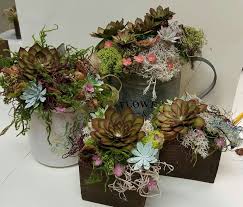Pin By Veronika Hopp On Oh So Succulent Paper Succulents Paper Flowers Paper Flowers Diy
