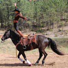 Trick Riding Hippodrome Stand Trick Riding Western Riding Eventing Horses