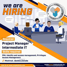 Project Manager Intermediate It Engineering Activities Business Analyst Work Experience