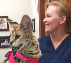 April Volunteer of the Month: Dr. Erin