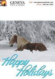 Winter Wonderland Holiday Pet Photos Pet Holiday Pet Photo Contest