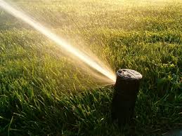 Here are some pointers to help save water when watering a lawn Best Time To Water Grass More Lawn Doctor