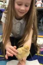 Newsletter Term 3 2023-24