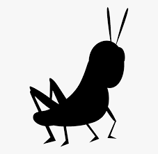 612 x 542 jpeg 33 кб. Cricket Insect Png Cricket Animal Clipart Free Transparent Clipart Clipartkey