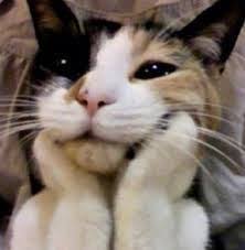  Givaninazwa Givaninazwa Profil Pinterest