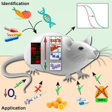 Scientists Have Found Longevity Biomarkers Eurekalert Science News