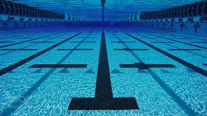 Swimming Pool Lane Go To Http Iboatcity Com And Use Code Pinterest For Free Shipping On Your First Order Lower 48 Usa Onl Underwater World Swimming Workout