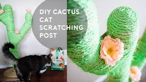This cozy cactus cat tree from hollywoodkittyco can help. Diy Catcus Scratching Post