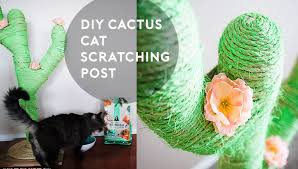 Cats scratch when they play, to sharpen their claws, to relieve stress, and to mark their territory. Diy Catcus Scratching Post